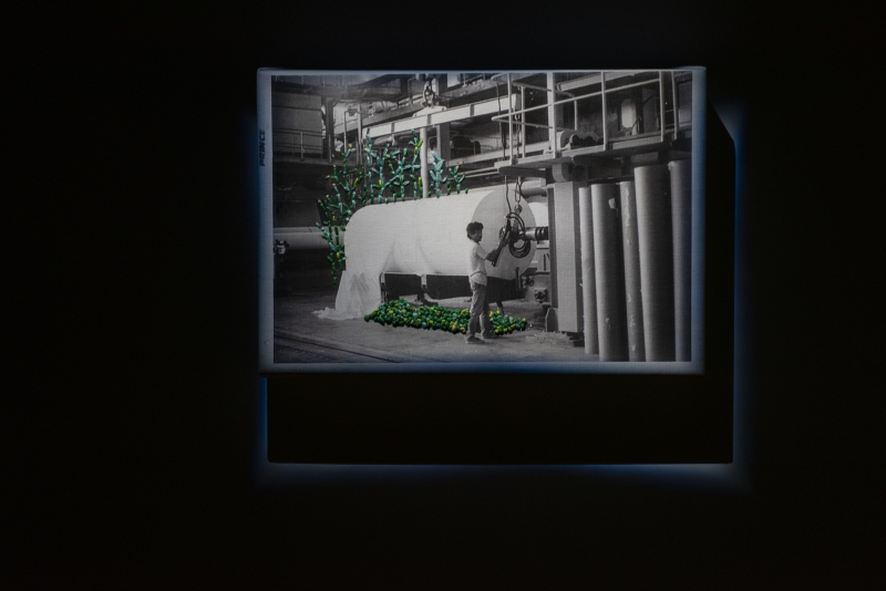 那些死過人的樹，都被做成衛生紙 －羅硯澤創作個展｜米豆藝術空間｜國藝會補助成果檔案庫
